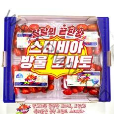 [토망고] 스테비아 토망고 방울토마토 500g 토마토 1kg, [토망고] 큰 토마토 1kg * 3개