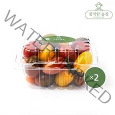 컬러 대추 방울토마토 탱글탱글 토마토 1kg [산지직송], 2kg [1+1구매 시 3,000원 할인]