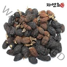 자연초 제주 까마귀쪽나무열매 100g, 1개