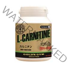 골드 짐(GOLD'S GYM) 카르니틴 180알