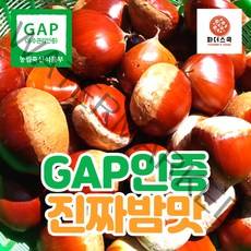 GAP 우수관리인증 햇밤 옥광밤 밤 알밤 깐밤 친환경 재배 무농약 굿뜨래 충남 부여 농장 산지직송, GAP인증 깐밤 500g
