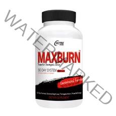 미국 웰모어웰 건강식품 맥스번 다이어트보조제 잔티젠 50일분, 1개, 100캡슐