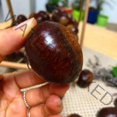 충주밤 소태밤 이평 석추 옥광 햇밤 특 대 1kg, 이평 중 1kg