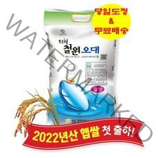 동철원농협 철원오대쌀 4KG ['22년 햅쌀' / '당일도정' 후 '무료배송' / 단일품종 '오대']