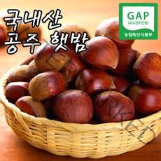 22년 햇 밤 공주 정안밤, 햇 밤 4KG