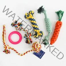 딩동펫 반려동물 캐롯 로프 실타래 장난감 6종 세트, 혼합색상, 1세트