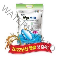 [당일도정] [동철원농협 직접운영] 2022년산 두루웰 철원오대쌀, 햅쌀 4kg
