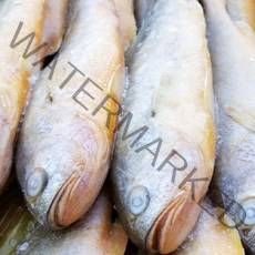 [고래푸드] 부세조기 12마리 1박스, 1box, 3.4kg