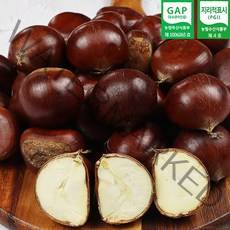 2022년 공주 정안 옥광밤 2kg 4kg (중 대 특) 햇밤 공주밤 정안밤 산지직송 GAP인증, 공주 옥광밤 특 4kg