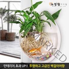 성림아크릴 벽걸이어항 원형 아크릴 수조 관상용 실내인테리어 구피키우기