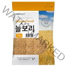미국 늘보리, 10kg, 1개