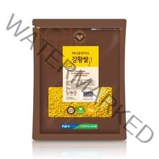 하나로라이스 강황쌀, 1개, 1kg