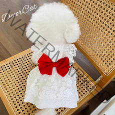 펫원피스 웨딩스커트 여름신상 리본 레이스 하객드레스 고양이옷