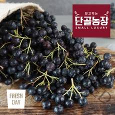 프레시데이 고창 프리미엄 아로니아 냉동생과, 1박스, 2kg