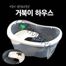 거북이하우스, 1개