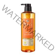 려 고흥 유자 탈모 증상 완화 샴푸, 800ml, 1개