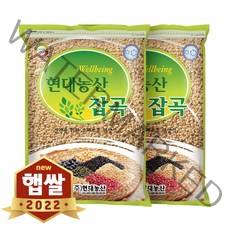 현대농산 2022년 햅쌀 국산 현미찹쌀 찰현미 4kg (2kgx2봉), 1개, 총 4kg