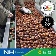 농협 선별 2022년 부여 햇밤 대사이즈 2kg 4kg 택1 / 굿뜨래 / 산지직송, 대4kg