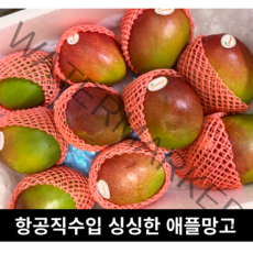 브라질 고당도 애플망고 2kg 4kg 항공직수입 달콤한 브라질망고 그린애플망고 홍망고 가정용 선물용 애플 망고 프리미엄 초고당도 고당도 고 당도 무지개망고 무지개, 브라질 2KG(4-5과)