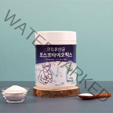 장 건강 유산균 모유유산균 포스트바이오틱스 400g 장튼튼 프로 프리 바이오틱스 장내유익균 HACCP, 1통