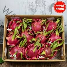 [맛다름] [가락시장 경매 식자재 과일][베트남] 용과 5kg내외 10과, 1box