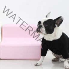 레드퍼피 트리컬 강아지 펫스텝 2단, 파스텔핑크