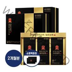 연세생활건강 제중원 한포가득 황제 발효침향 수(10ml x 30포) 1개월분 블랙발효스틱 광동침향환, 2box, 30포/2개월분