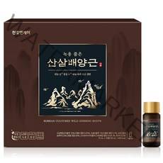 천호엔케어 기운담은 일품 산삼배양근 20ml X 10병 (쇼핑백포함) 국산 산삼배양근+영지버섯+상황버섯+6년근홍삼 함유, 10병 (1세트)