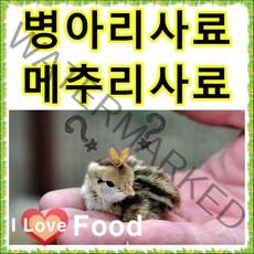 병아리사료 1kg 소포장 병아리밥 초이 오리 메추리 조류 소량판매, 10번 천연칼슘가루 200g