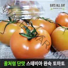 이츠올릿 산지직송 꿀맛 스테비아 완숙 찰 토마토 1kg 단 토망고