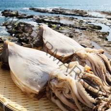 건어물이좋다 동해안 국산 영덕 반건조오징어 피데기 10미 800g~1.7kg, 흠있는 오징어 파지 900g~1kg (4~10미)