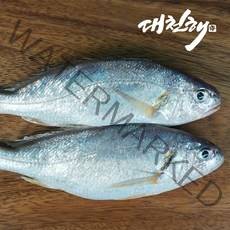 대천해 국내산 백조기 250g X 2팩