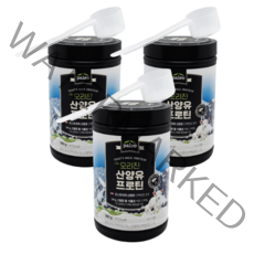 팔레오 산양유 프로틴 분말 동물성 식물성 오스트리아산 단백질 360g 3통(스푼포함)