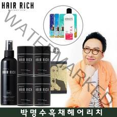 박명수 헤어리치 박명수 흑채 20g 4개+사은품 정수리흑채 분말형흑채 흑체, 1개, 흑색4개+미스트