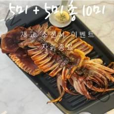 반건조 오징어 5마리 서비스! 총 10마리 보낼게요 7일간, 1개 (10미) 500-600g 앵치피데기