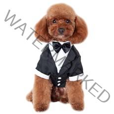 제제펫 베이직 애견 턱시도, 혼합 색상