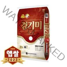 현대농산 2022년 햅쌀 진품 경기미 쌀 10kg 상등급, 1포