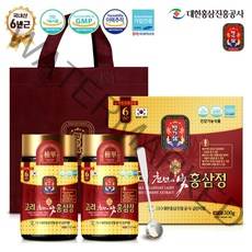 대한홍삼진흥공사 고려천년의빛 홍삼정 + 쇼핑백, 250g, 2개입