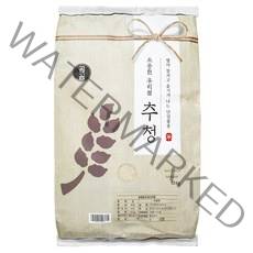 곰곰 소중한 우리쌀 추청 2022년산, 10kg, 1개