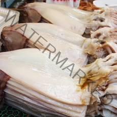 반건조오징어 피대기 파품 피데기오징어 반건조, 옵션5. 대 10미 1.4kg ~ 1.6kg