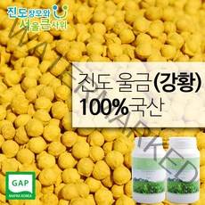 진도장모와서울큰사위 진도 울금(강황) 환 500g 농부가 직접재배, 2개