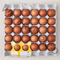 딜리조이 촉촉한 반숙란, 50g, 30구