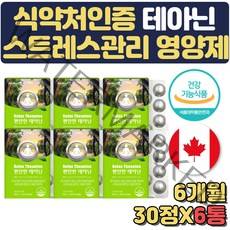대용량 스트레스 긴장 영양제 엘테아닌 6개월분 마그네슘 자일리톨 긴장푸는법 시험전 보조제 여성 수능100일선물 고3 고시생 선물 식약처인증