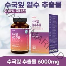 워너웰 수국잎 열수 추출물 프리미엄정 1000mg 60정, 2개월분(60정) 1개