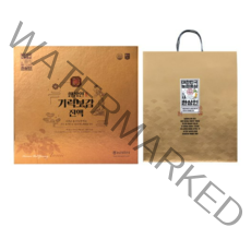 한삼인 기력보감 진액 + 쇼핑백, 1500ml, 1개
