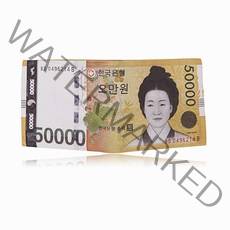 애띠앙 지폐 지갑 생일 선물 오만원 지갑 100달러 지갑 용돈 지갑 신박한 신기한 재밌는 독특한 생일 선물