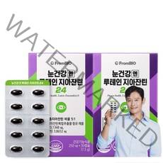 [본사출고] 프롬바이오 눈건강엔 루테인지아잔틴24, 2박스, 250mg 30정