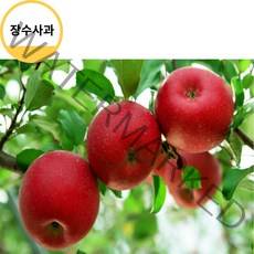 장수사과 고랭지사과 홍로사과10kg 못난이사과 (중) 사과따기체험 사과다이어트 사과빵 사과잼 사과쥬스, 상세페이지 참조
