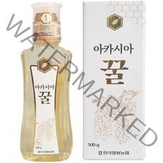 한국양봉농협 아카시아 꿀, 1개, 500g
