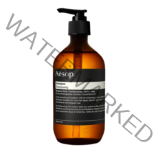 핫템 이솝 샴푸 500ml